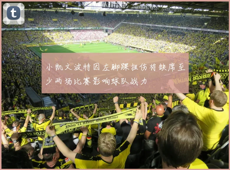 小凯文波特因左脚踝扭伤将缺席至少两场比赛影响球队战力