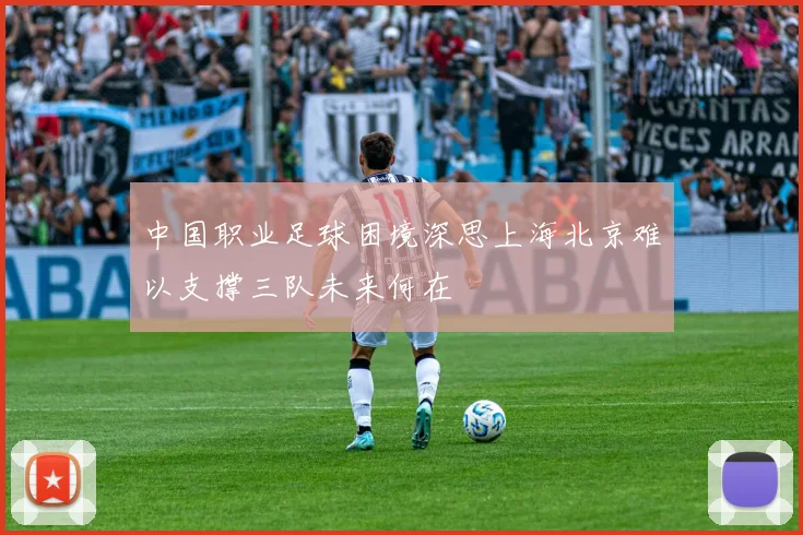 中国职业足球困境深思上海北京难以支撑三队未来何在