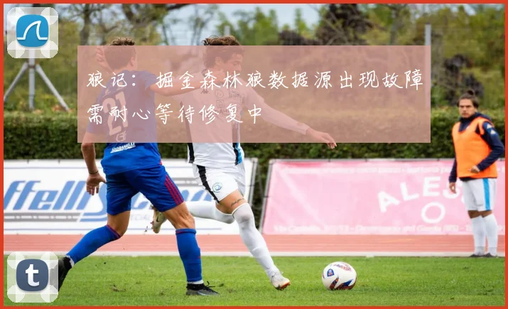 狼记：掘金森林狼数据源出现故障需耐心等待修复中